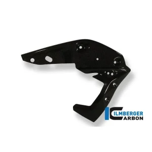 COVER RADIATORE DESTRA CARBONIO ILMBERGER TRIUMPH SPEED TRIPLE 1050 2011-2015- Spedito Oggi