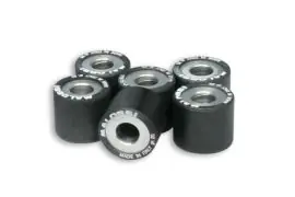 Offerta Speciale RULLI HTROLL Ø 25x15,9 gr. 13 - MALOSSI 6615452.F0