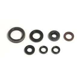 Esclusivo Serie Paraolio Motore YZ250F 01-13/GASGAS EC4T 13-14 - P400485400039