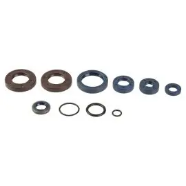 Serie Parolio Motore BETA RK6/RR6 50/KTM 65 93-99/01-06 - P400060400143 Spedizione Gratuita