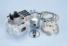 Gruppo termico d.47 pistone cilindro Honda SH50 - Polini 1190035 Consegna Rapida