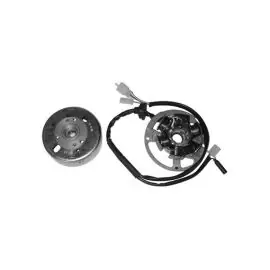 3196844 - Volano Completo per Motore Minarelli 50cc impDucati 6 poli Saldi