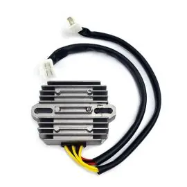 Regolatore TRIUMPH 595/600/955 DAYTONA - SGR 17.2493 Offerta Del Giorno
