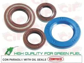 Promozione Esclusiva SERIE PARAOLIO MOTORE VITON PIAGGIO SFERA-ZIP-FAST RIDER - CIF - 6655-V
