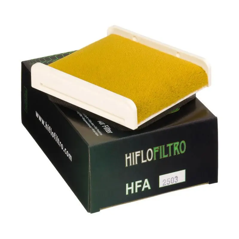 HIFLO Filtro Aria HFA2503 KAWASAKI EX500 1989-2009 Prezzo Basso