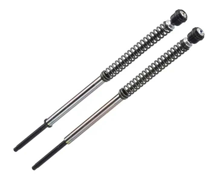 BITUBO CARTUCCIA presurizzata Regolabile TRIUMPH SCRAMBLER 2006-2013 Ultima Occasione
