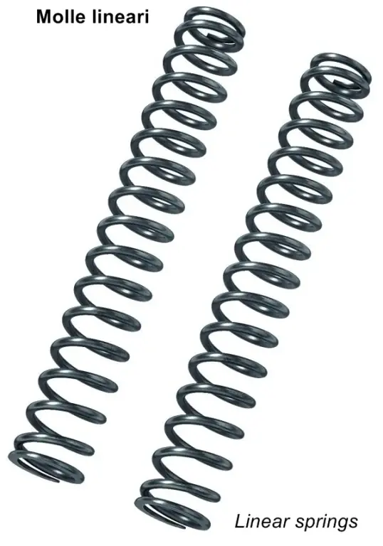 Pagamento Sicuro BITUBO Kit molle ricambio per cartucce ECH-RDH K=1.00 + 1 Lt. Olio BITUBO FORK RDH / RRH ---