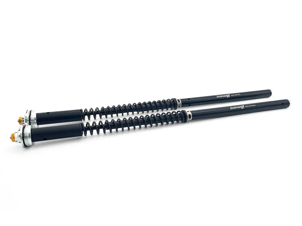 Compra Oggi Stesso ANDREANI Cartuccia forcella Misano Evo per Kawasaki Z750 04-06