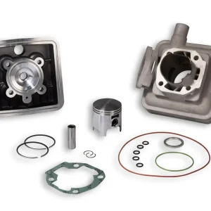 Reso Gratuito PEUGEOT 103 RCX 50 MALOSSI GR.T.Ø 45,5 allu. H2O +decompr.PEU.103