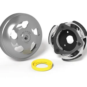 Vendita Finale HONDA FORZA 125 ie 4T LC euro 3 <-2016 (JF60E) MALOSSI MAXI DELTA SYSTEM (Clutch BELL Ø 135)