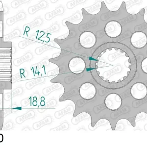 Pignone AFAM 61602-20 passo 525 BMW F 800 R 2005 -2014 Prezzo Basso
