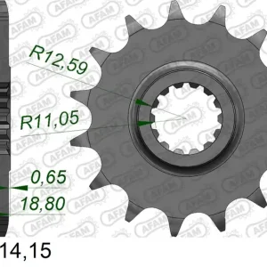 Pignone AFAM 52900NR-15 Passo 530 Con Gomma Antirumore DUCATI 1200 MULTISTRADA 2010 -2014 Super Prezzo