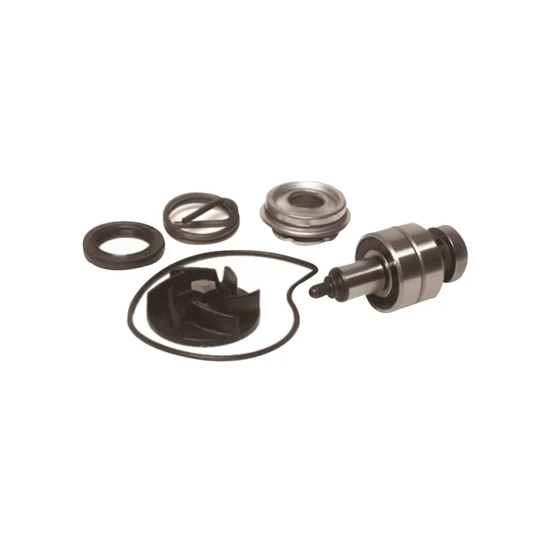 Prezzo Ridotto Kit Revisione Pompa Acqua Gilera/Piaggio 250/300 cc