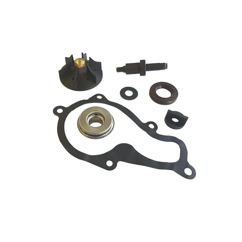 Kit Revisione Pompa Acqua Piaggio Beverly 350 cc Offerta Lampo