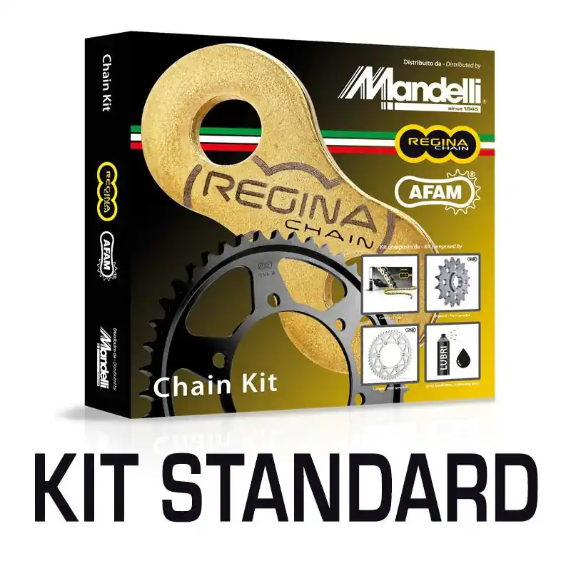 Professionale REGINA Kit trasmissione GAS-GAS TXT 250 GP 19 19