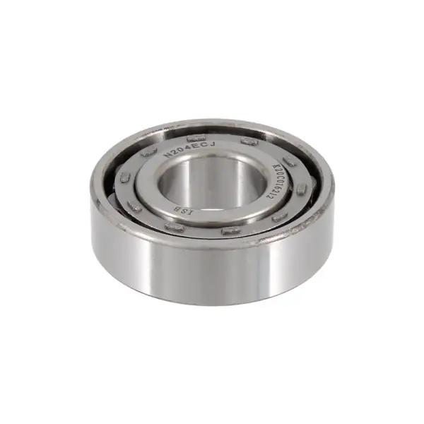 Spedito Oggi Cuscinetto a rulli RMS Classic 0071605