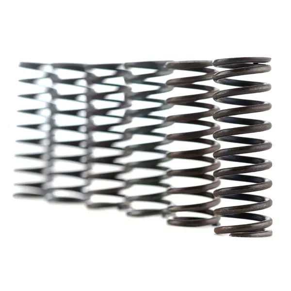 Kit Molle Frizione FERODO FSS0101 Pagamento Sicuro