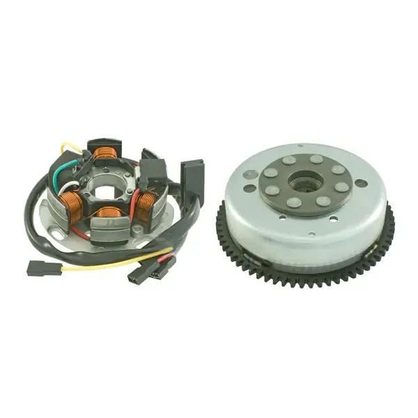 Popolare Volano completo RMS Derbi Gpr 2t 50cc 2009/2010 per APRILIA RS 50 2006 - 2010