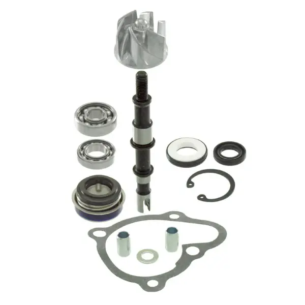 Prezzo Ridotto Kit revisione pompa acqua RMS Kymco X-citing 250-300cc per KYMCO B&W EURO2 250 2003 - 2003
