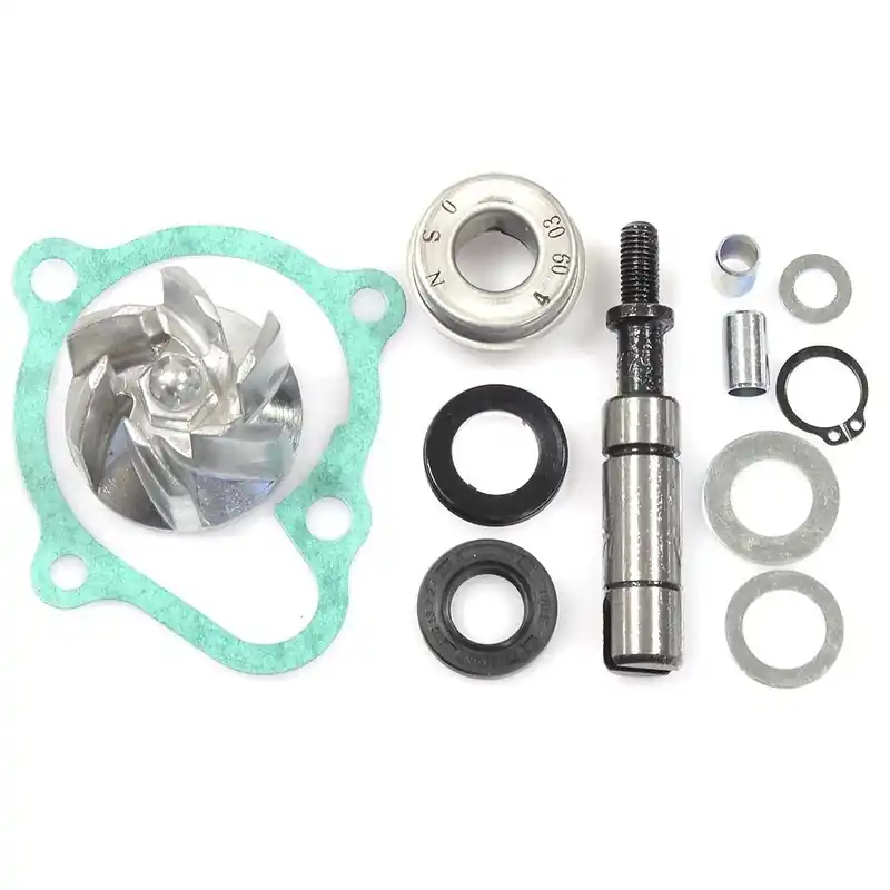 Spedizione Gratuita Kit di riparazione pompa d'acqua Superdink 200/300 V PARTS