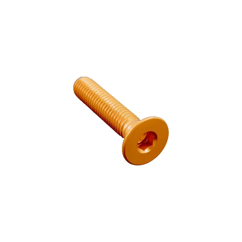 Prezzo Di Fabbrica Vite Testa Piana Svas. Erg. Cl 005 M6 L. 65