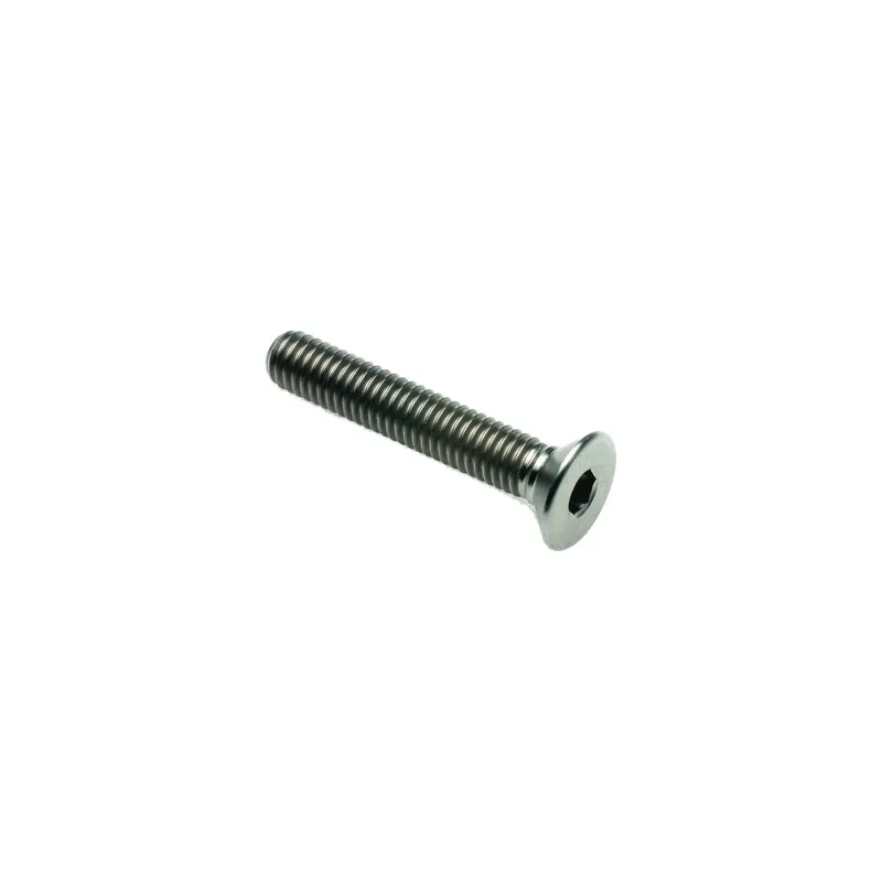Vite Testa Piana Svas. Tit. G.5 Cl 005 M8 L. 55 Prezzo Di Fabbrica