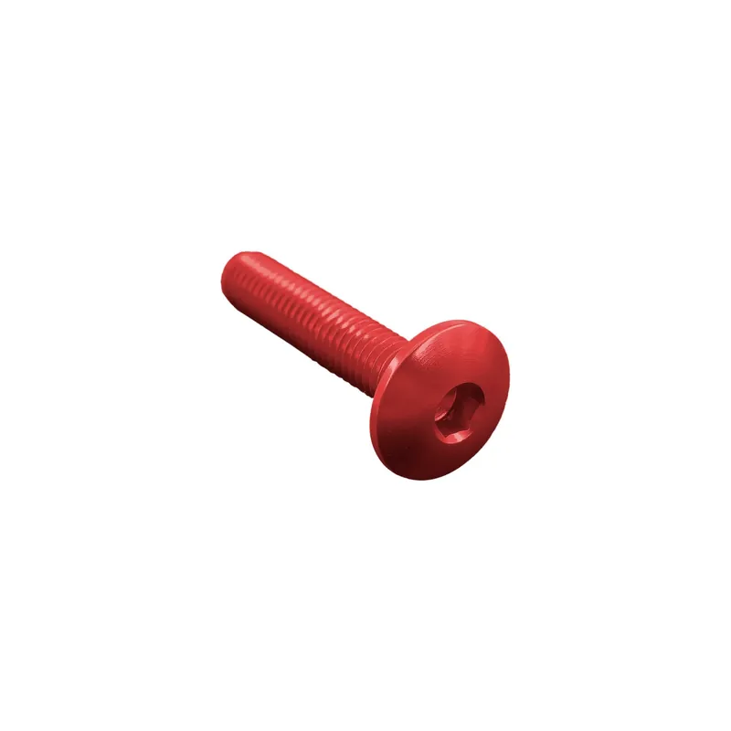 Miglior Prezzo Vite Testa Bombata Erg. Cl 002 M4 L. 25 Testa Ø10 Ergal (7075 T6)