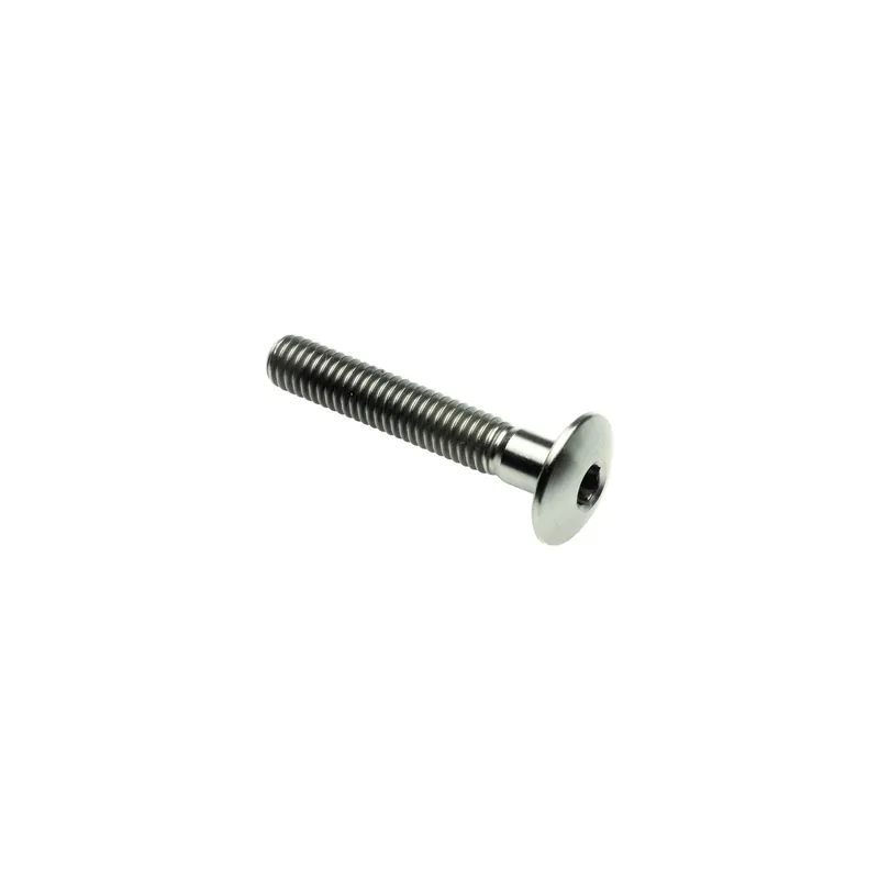Vite Bombata Tit. G.5 Cl 002 M8 L. 15 Testa Ø16 Titanio 6al4v Gr.5 Promozione