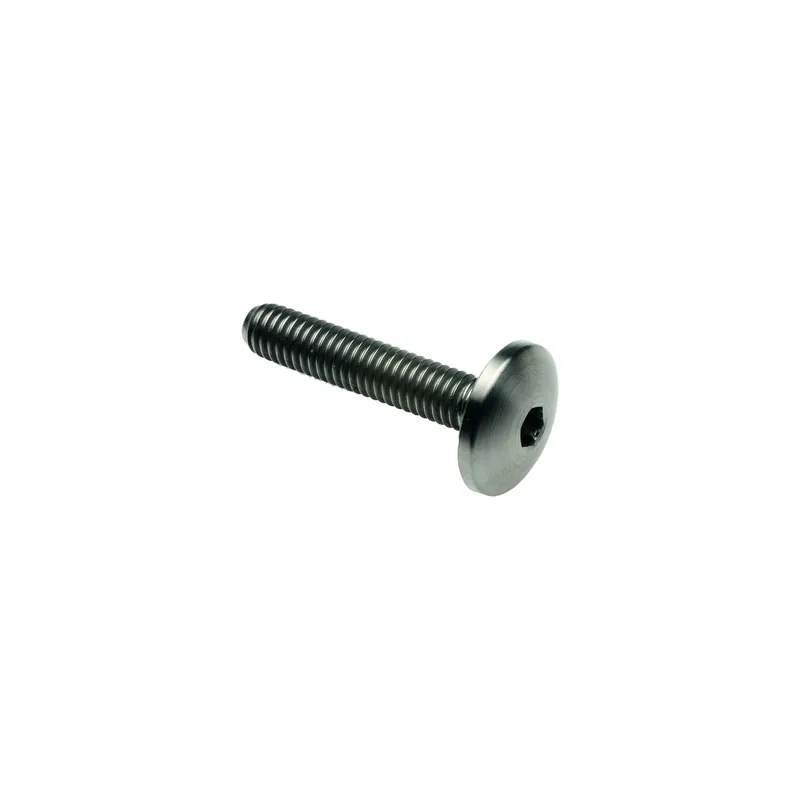 Offerta Vite Bombata Tit. G.5 Cl 003 M6 L. 30 Testa Ø17  Titanio 6al4v Gr.5