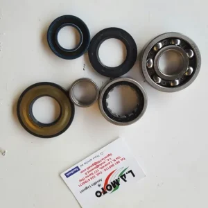 KIT CUSCINETTI PER MOTORE APE MP 550 – 600 Non Perdere