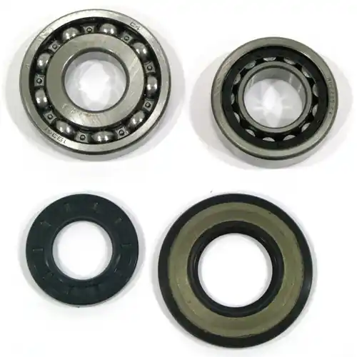 Occasione Imperdibile KIT CUSCINETTI E PARAOLI REVISIONE ALBERO MOTORE PER APE MP 601 – APE CAR